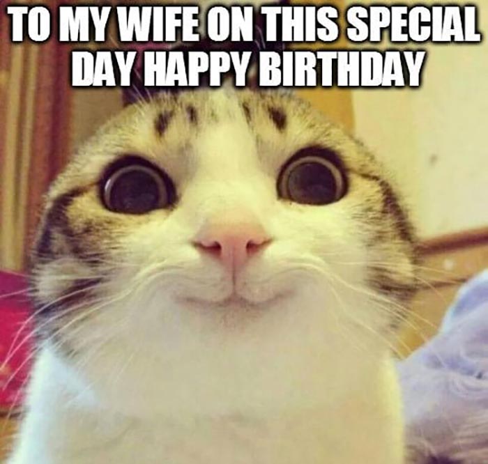 23 Awesome Happy Birthday Wife Meme - Birthday Meme