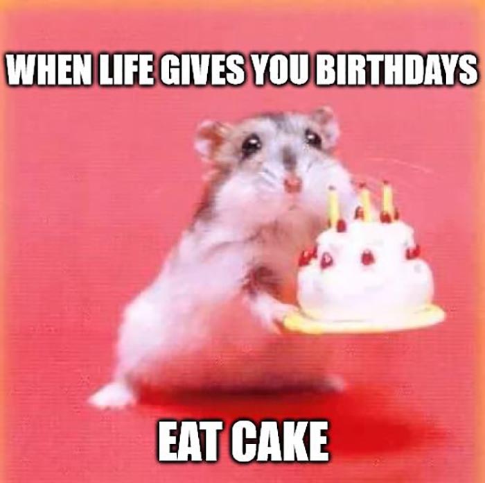 46 Awesome Birthday Cake Meme Birthday Meme 7539