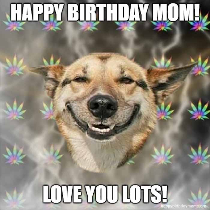 Dog meme happy birthday for mom