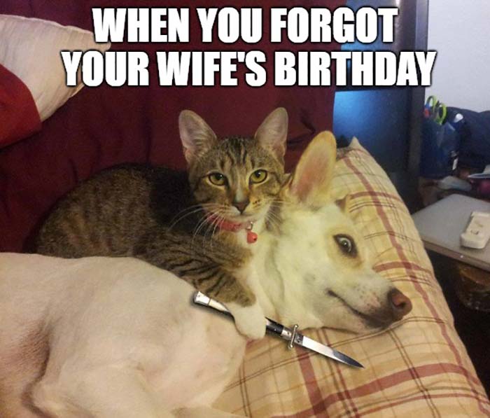 When you forgot your wife birthday