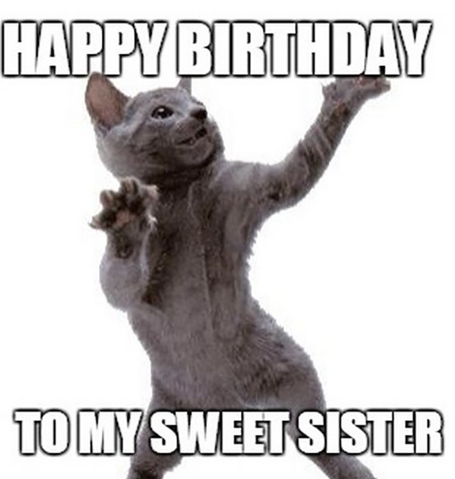 dancing_cat_birthday_memes_for_sister