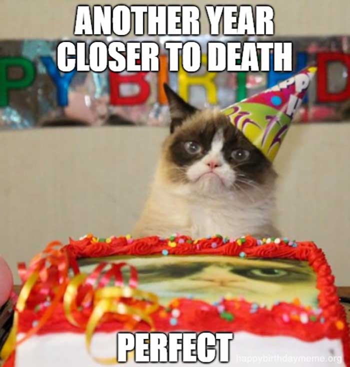 funny grumpy cat birthday