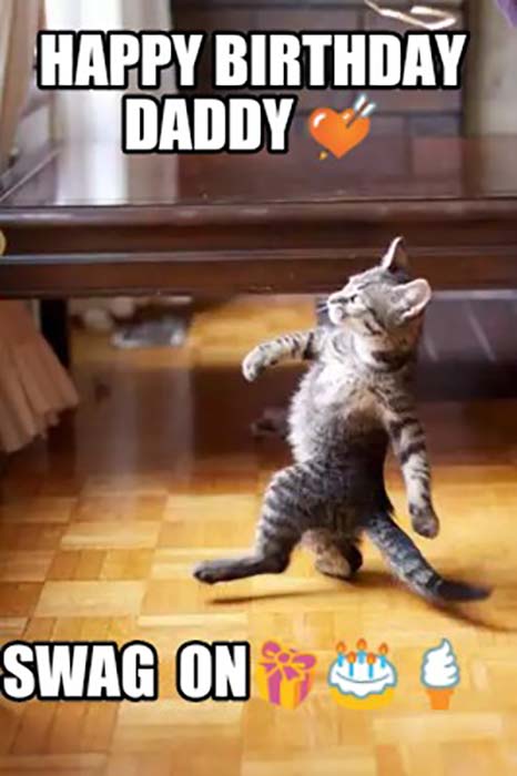 funny happy birthday dad cat meme