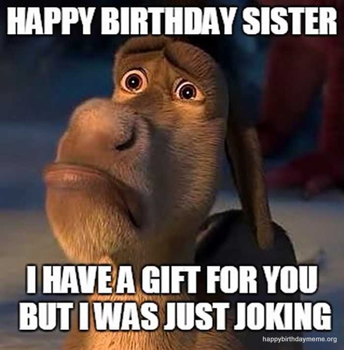 funny-happy-birthday-sister-meme-sad-donkey-birthday-memes-for-sister1.