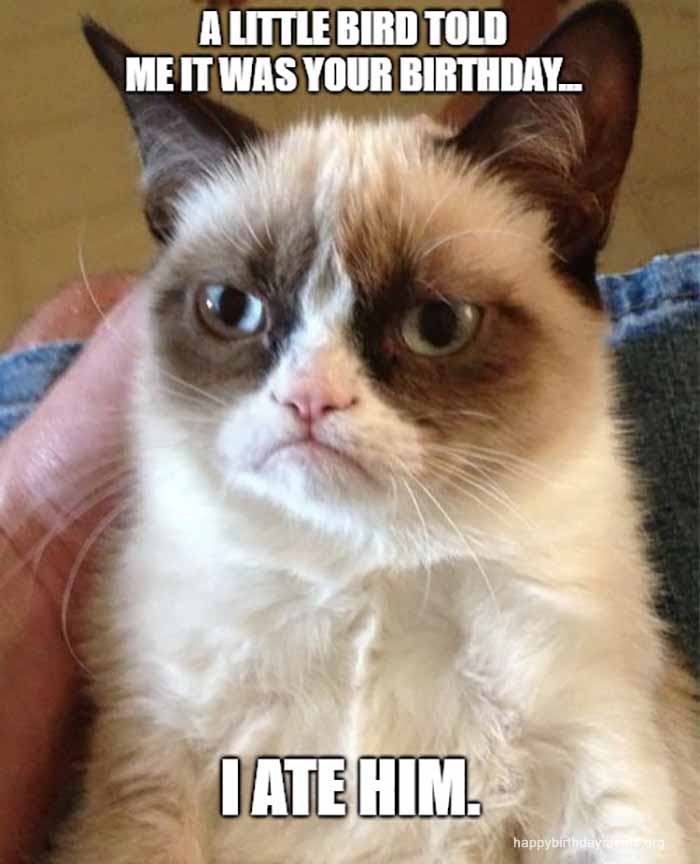 grumpy cat birthday meme for mom