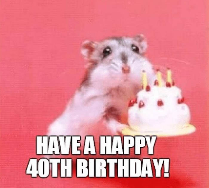 happy 40th birthday meme mouse