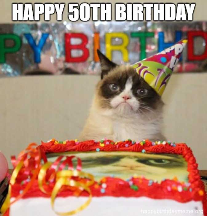 happy 50th birthday cat meme funny