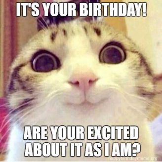 31 Funniest Cat Birthday Meme - Birthday Meme