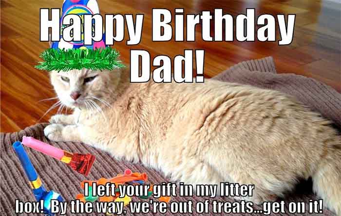 happy birthday dad cat meme