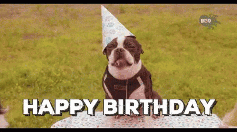 happy birthday gif dog