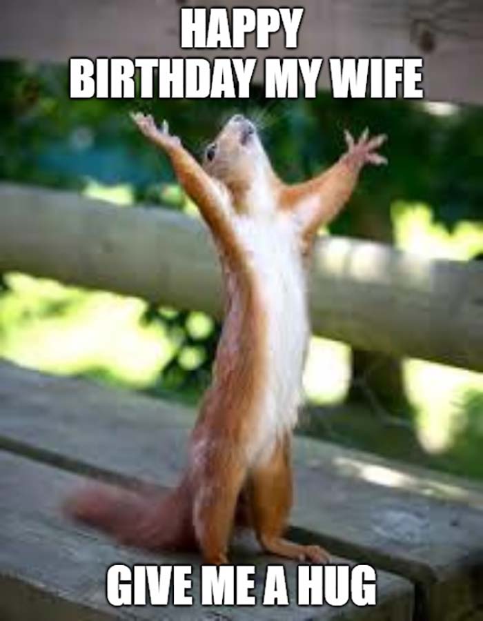 happy birthday meme for wife squirrel hug