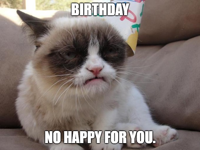 happy birthday memes cat