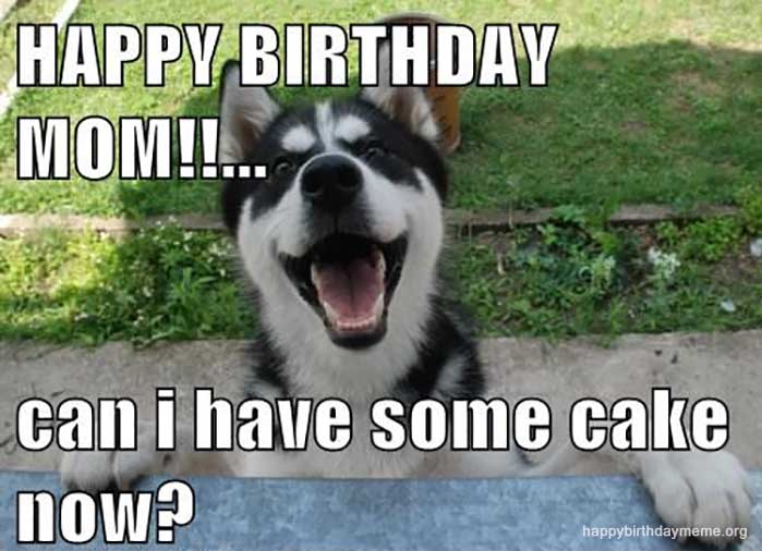 happy birthday mom dog meme