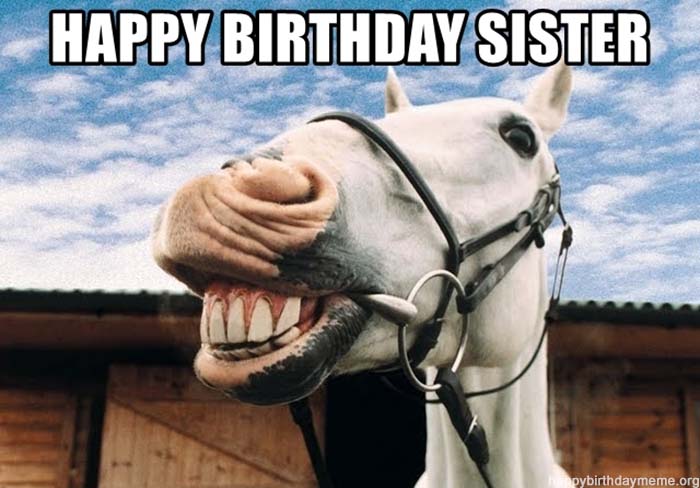 happy-birthday-sister horse