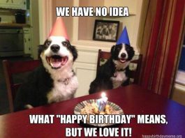 101 Funniest happy Birthday Meme - Birthday Meme