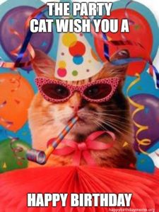 31 Funniest Cat Birthday Meme - Birthday Meme