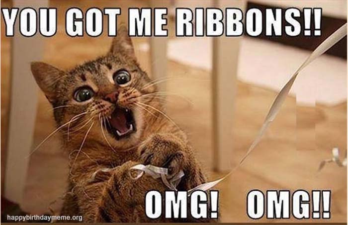 ribbons cat meme