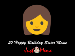 50 Funniest Happy Birthday Brother Meme Birthday Meme