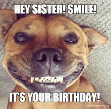 👩 50 Funniest Happy Birthday Sister Meme - Birthday Meme