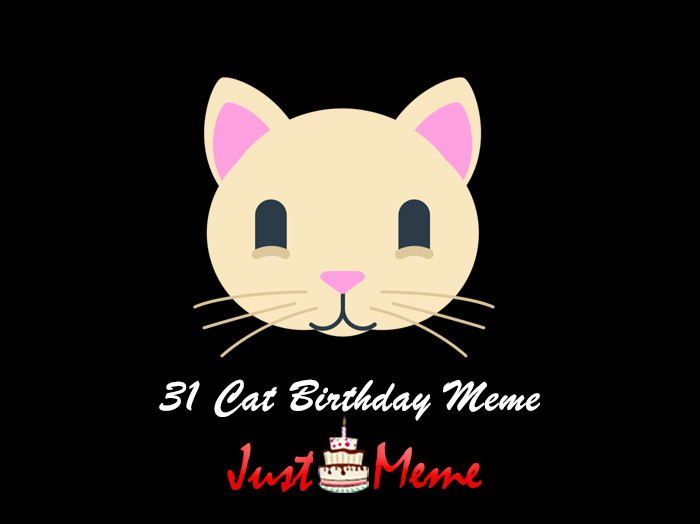 Cat Birthday Meme