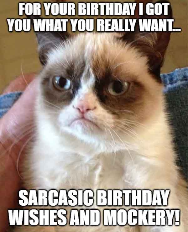 for your birthday i got you want you really want sarcastic birthday wishes and mockery