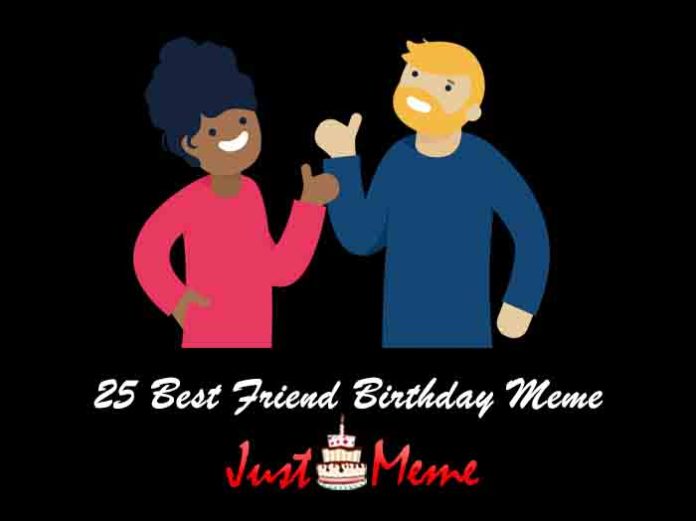 25 Best Friend Birthday Meme