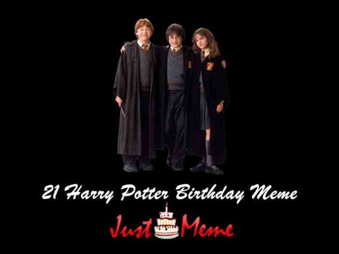 harry potter birthday meme