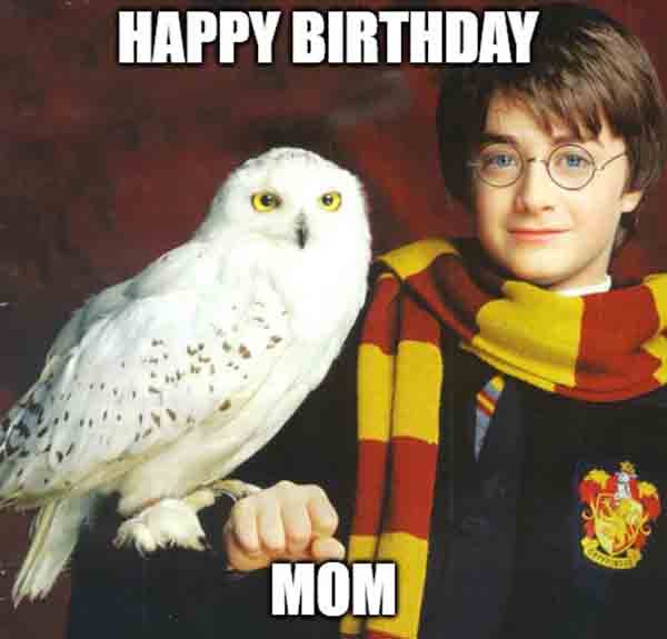 harry potter mom birthday meme
