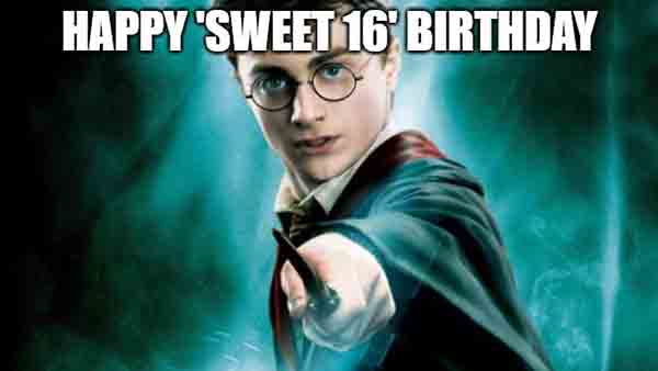 harry potter sweet 16 birthday meme