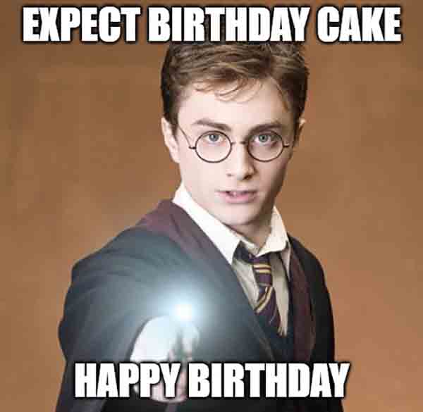 harry potter with cake birthday meme