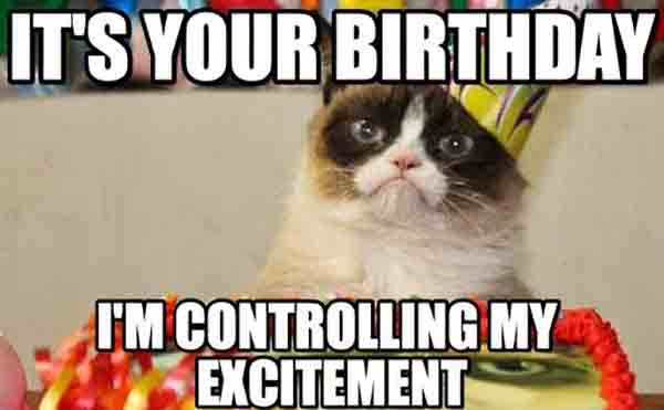 its my birthday meme grumpy cat