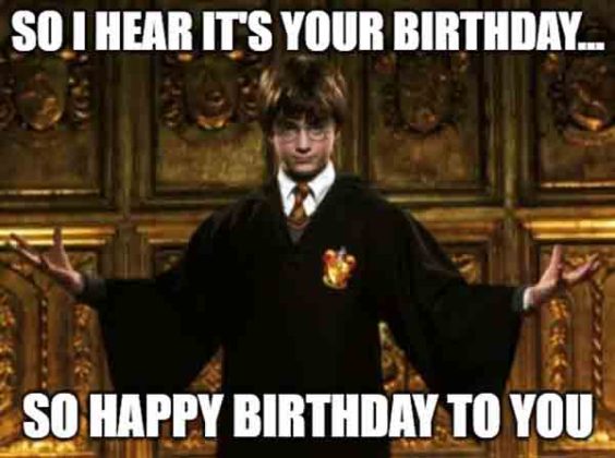21 Funniest Harry Potter Birthday Meme - Just Meme