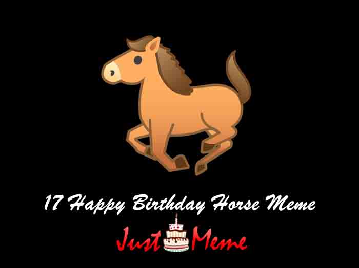 17 Happy Birthday Horse Meme