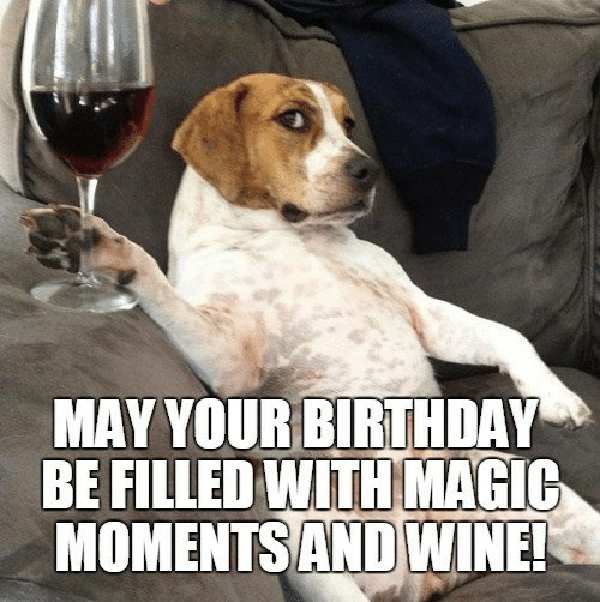 funny birthday wine meme