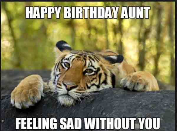 funny happy birthday aunt meme