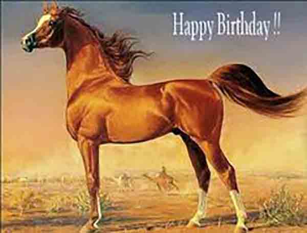 17+ Happy Birthday Horse Meme