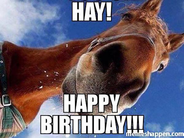 17 Best Happy Birthday Horse Meme