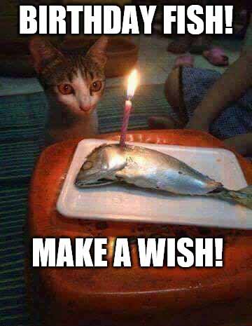 happy birthday meme fishing