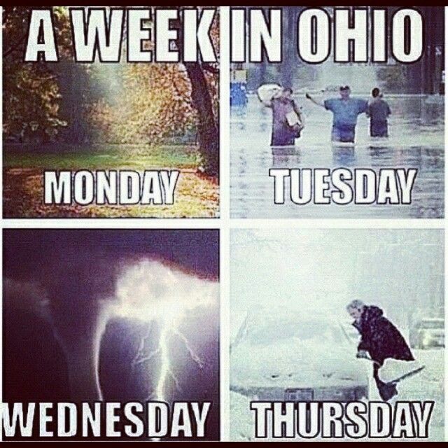 Ohio memes