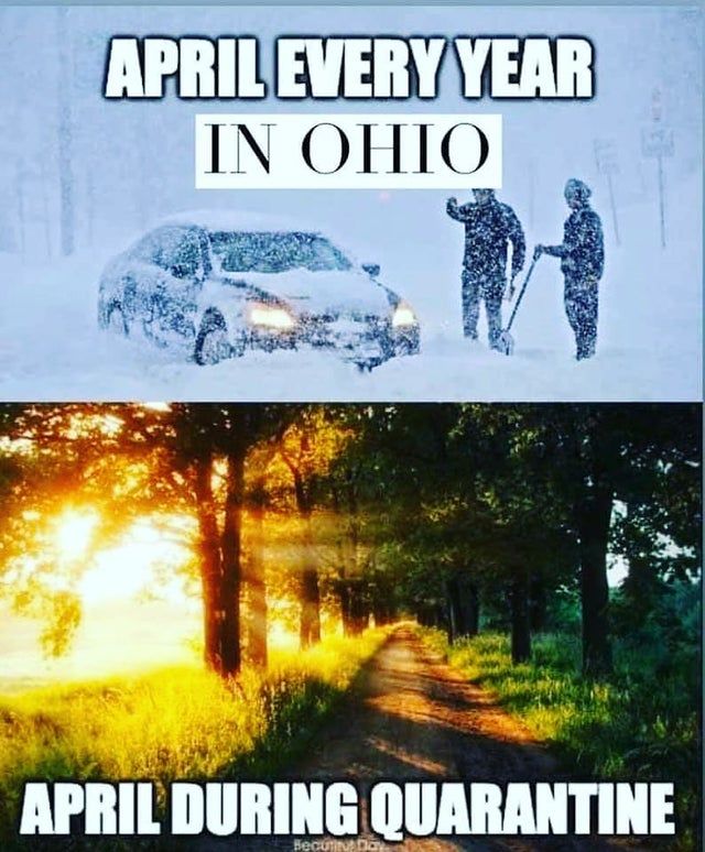 Ohio memes