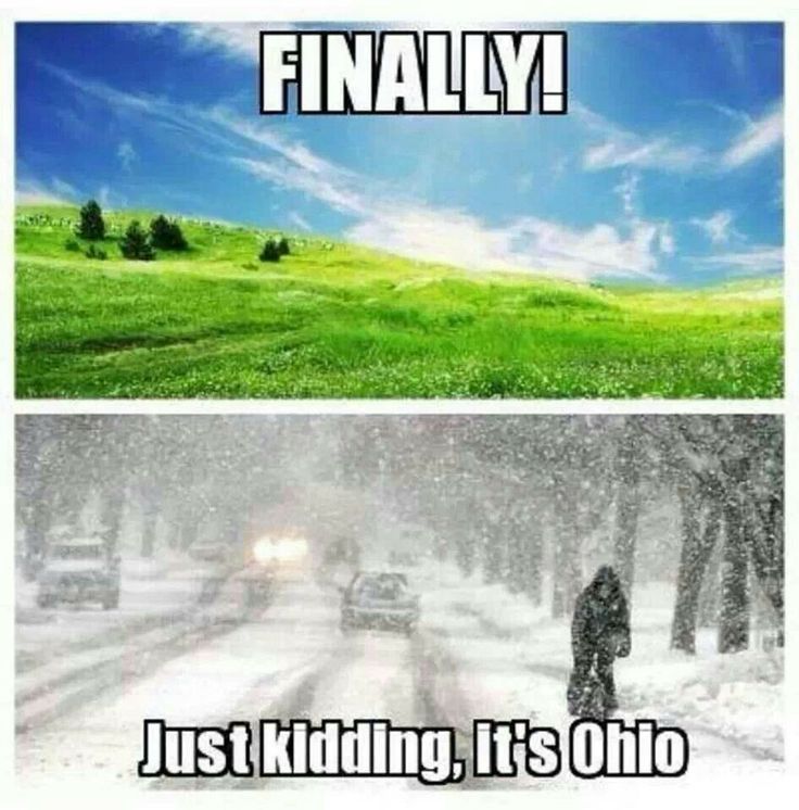 Ohio memes