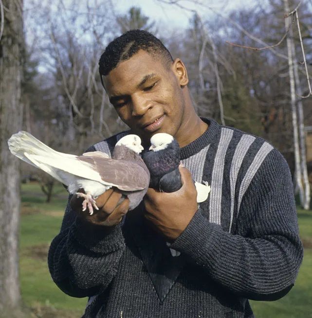 Iron Mike's Pigeons: